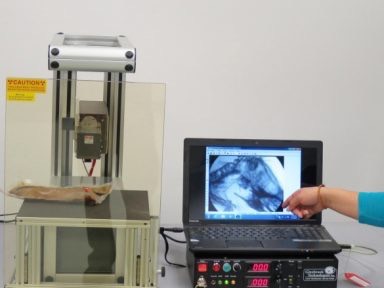 Bench-Top LabScope for small animal fluoroscopic imaging applications. Used for Dysphagia research with mice.