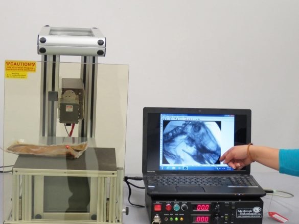 Glenbrook Magnification Fluoroscopy-Advancing Arthritis Research
