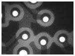 Verification of drilling registration for small holes at 40X magnification